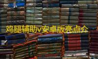 鸡腿辅助v安卓版亮点介绍及亮点